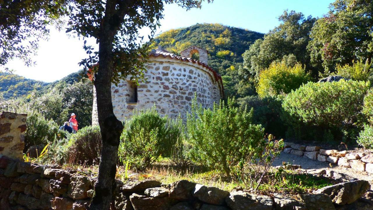 Eole Villa Amelie-les-Bains-Palalda