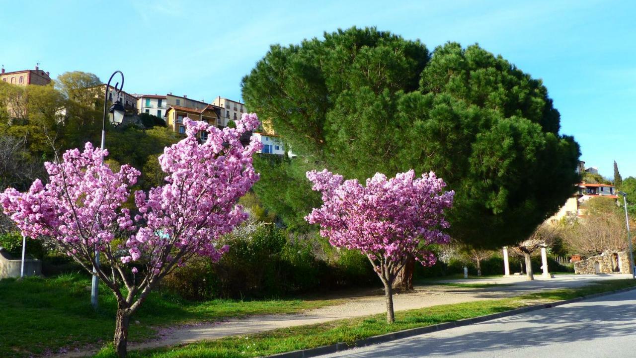 Eole Amelie-les-Bains-Palalda