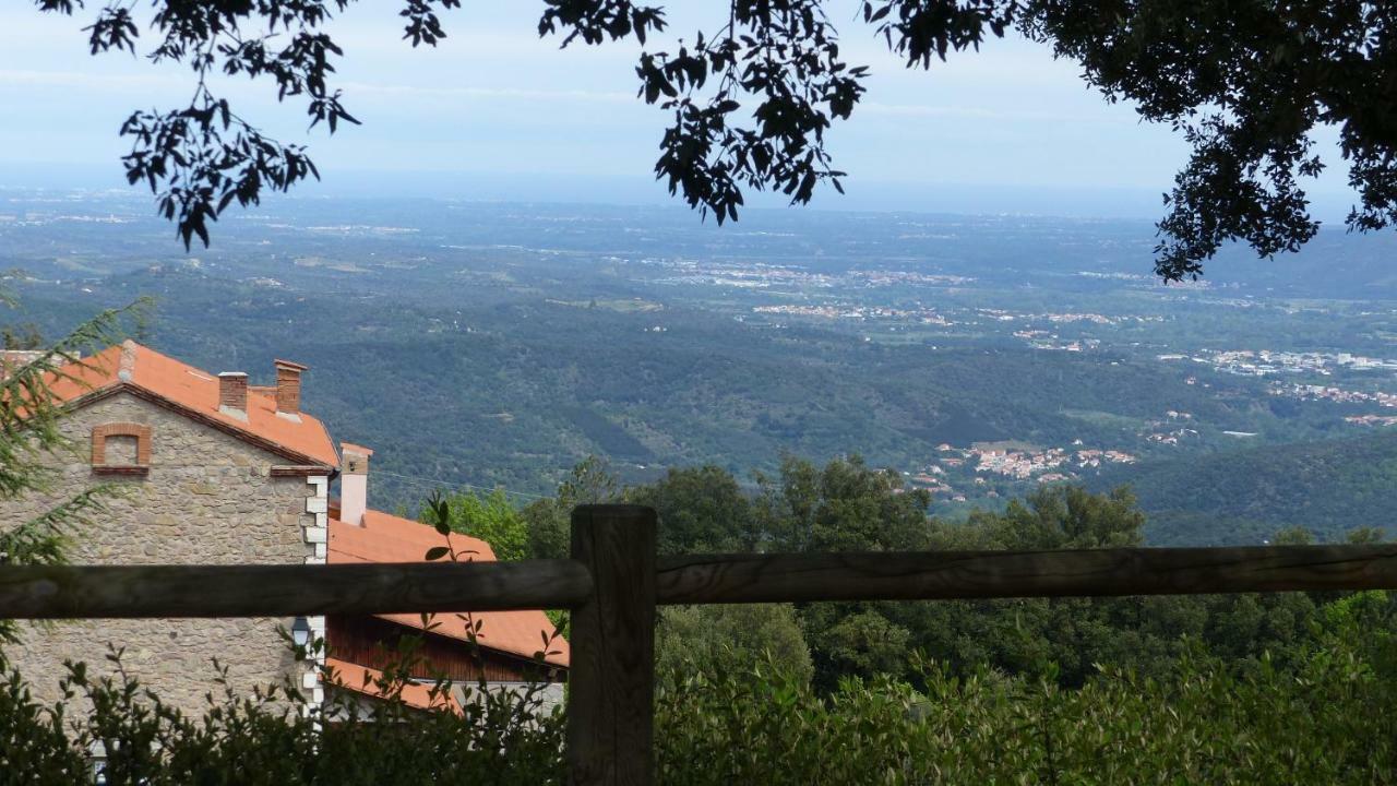 Eole * Amélie-les-Bains-Palalda